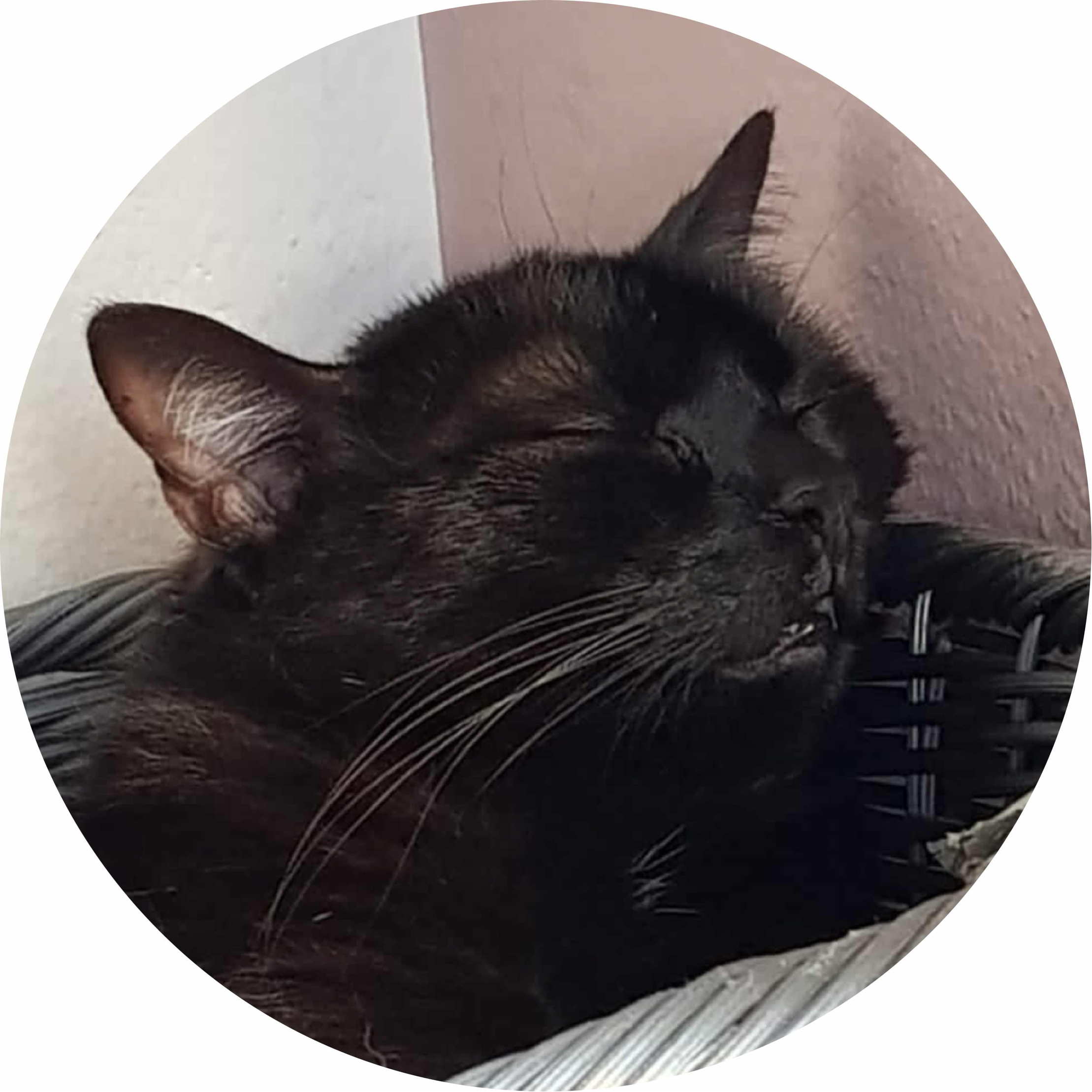 avatar of Balu123