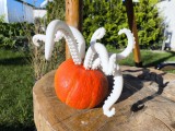 Oktopus arm-1