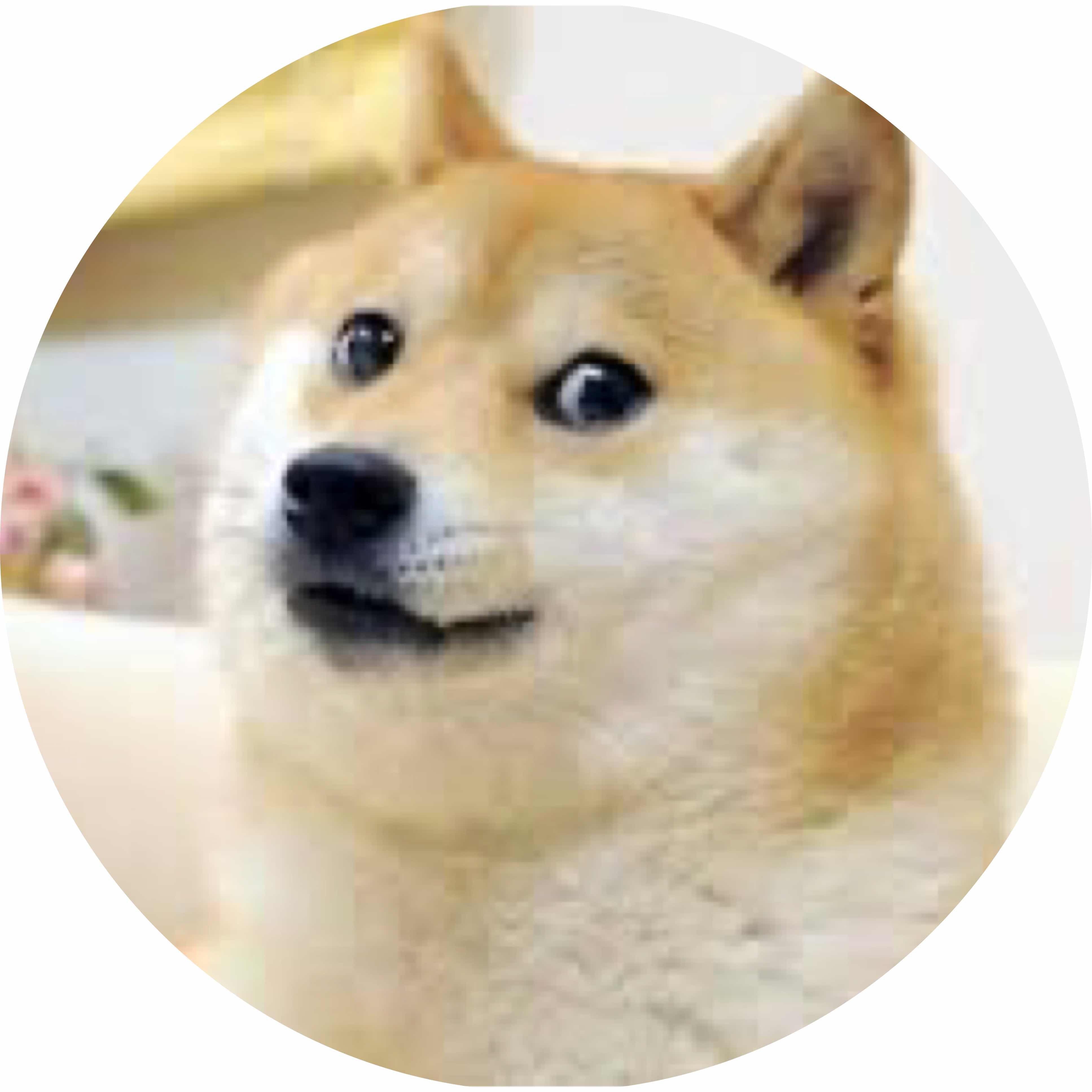 avatar of Sus_STUFF
