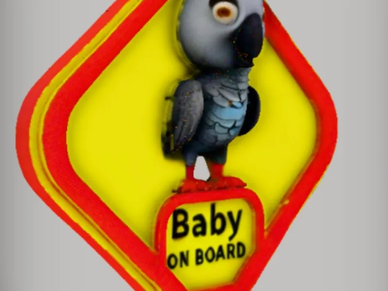 African Grey On Board 