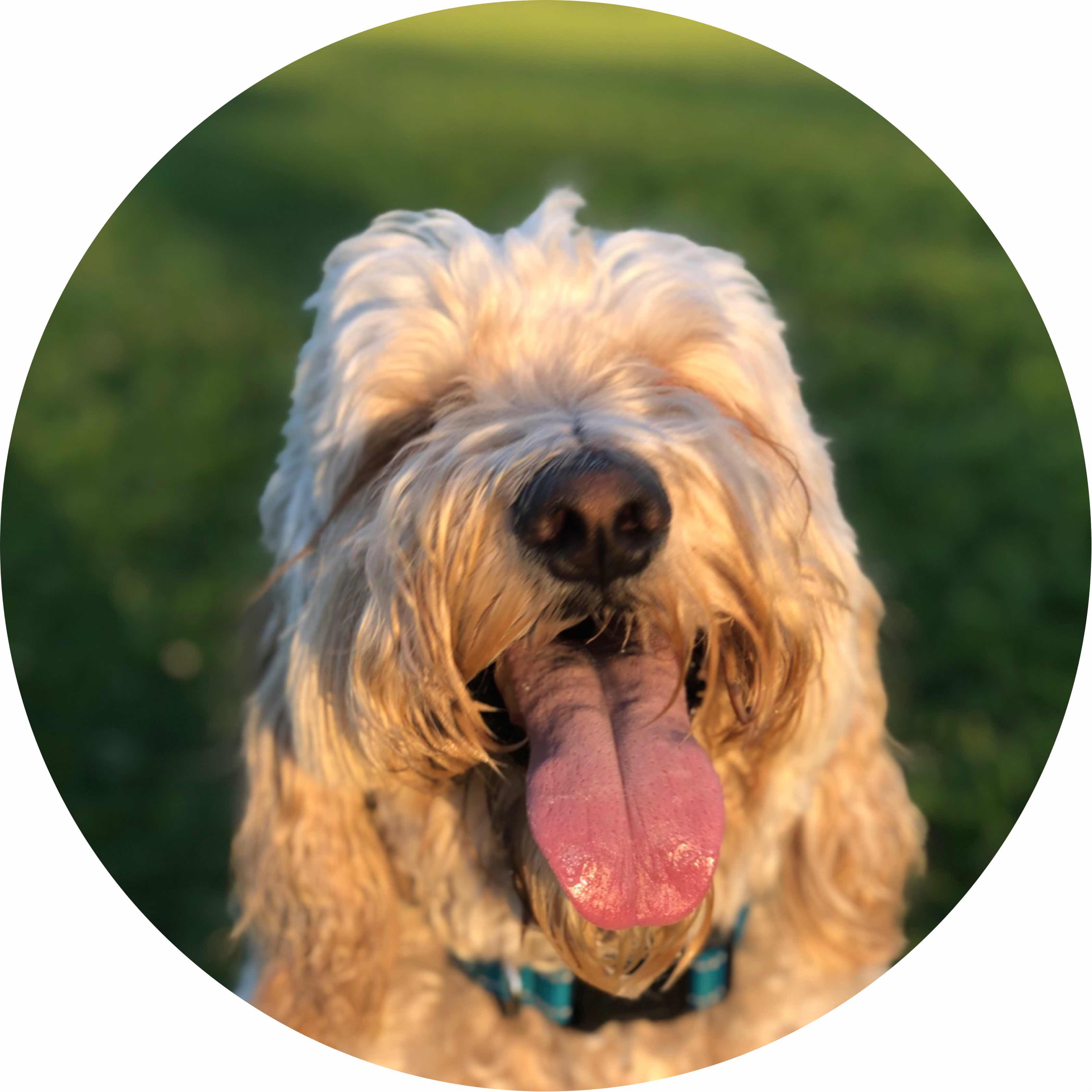 avatar of HEHEHEHEHEHEHEHEHEHE