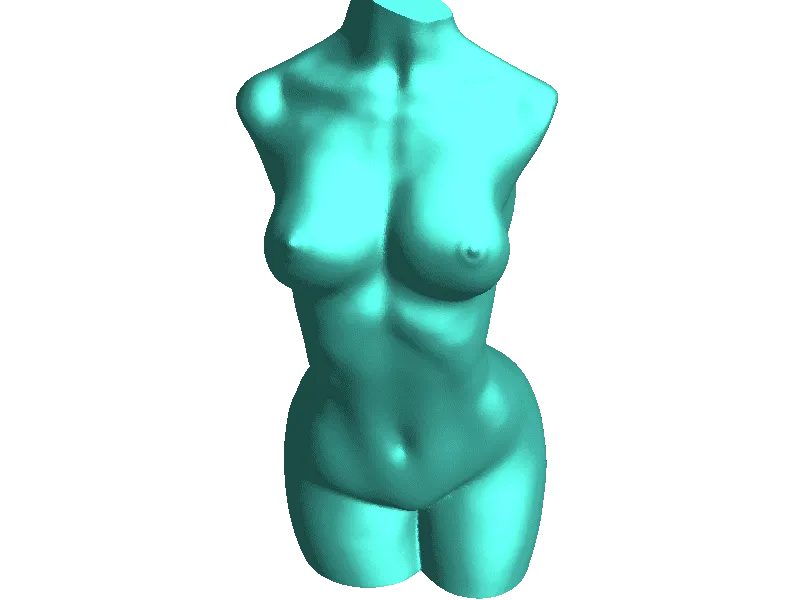 body