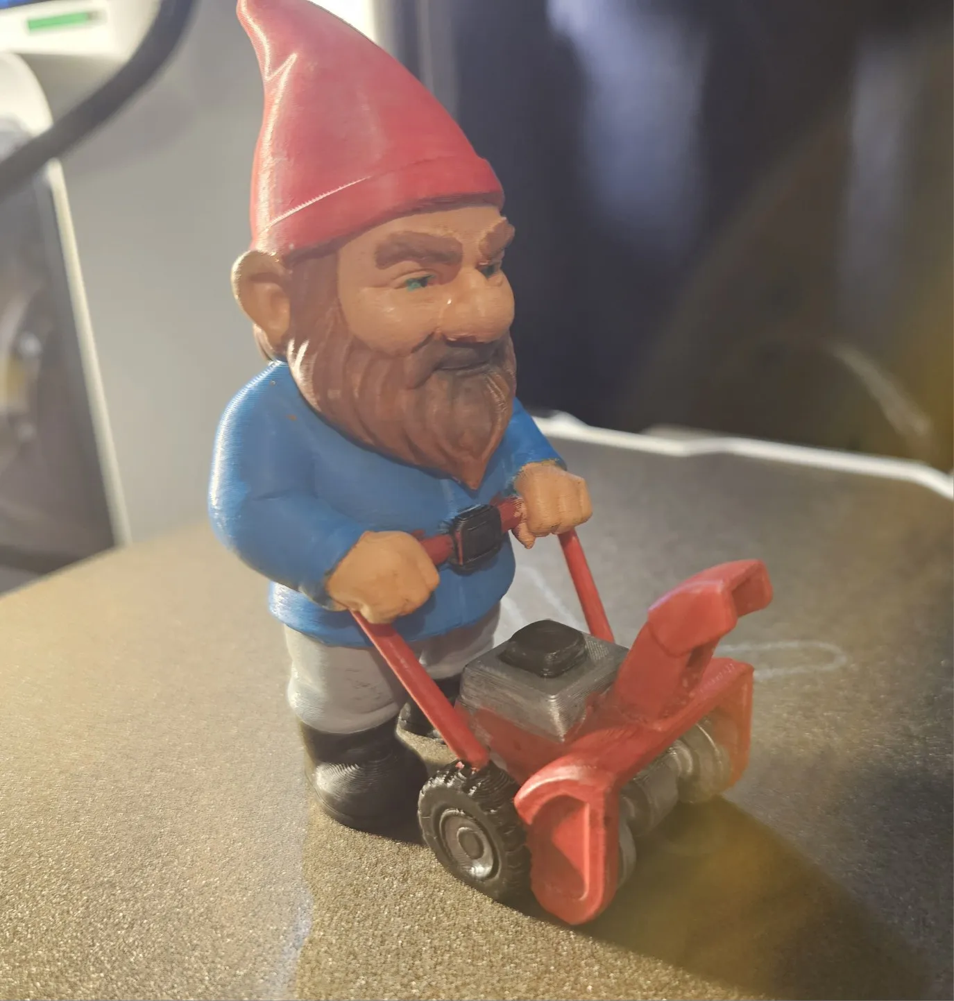 Snow Patrol Gnomes-1
