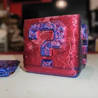 Question Block Switch Game Holder-0