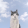 avatar of pipJR1978