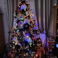 Tree dec-2