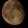 avatar of FHOH16