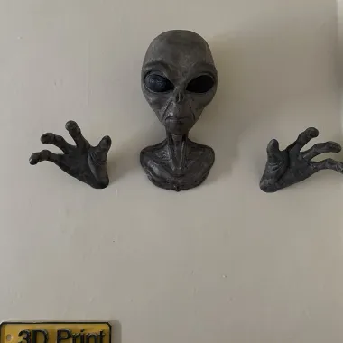 ALIEN WALL MOUNTED - NO SUPPORTS-0