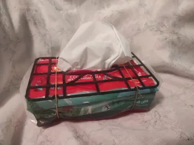 Vase mode tissue boxes-0
