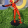 avatar of TechCrafter
