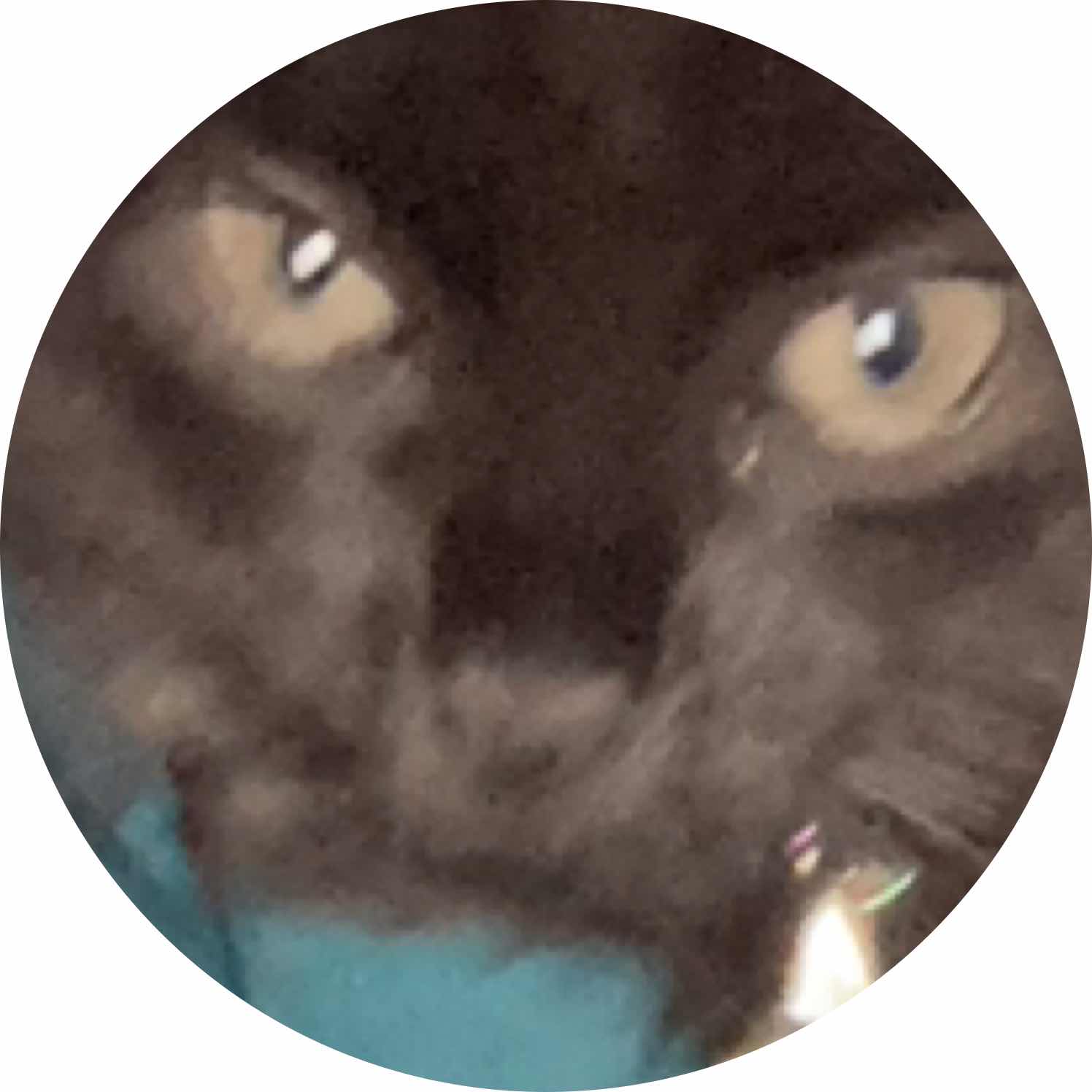 avatar of Jamegaming08