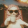avatar of Frikizilla