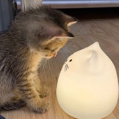 avatar of Alexvandamm