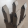 avatar of Balak delak