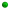Plantar pot