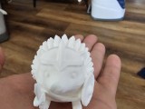 Warrior Hedgehog -2