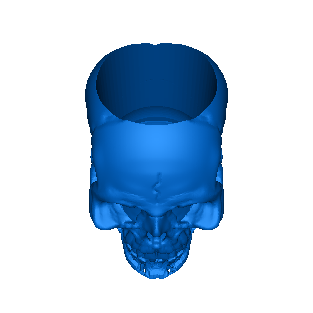 skull vase or skull pen holder | 3D models download | Creality Cloud