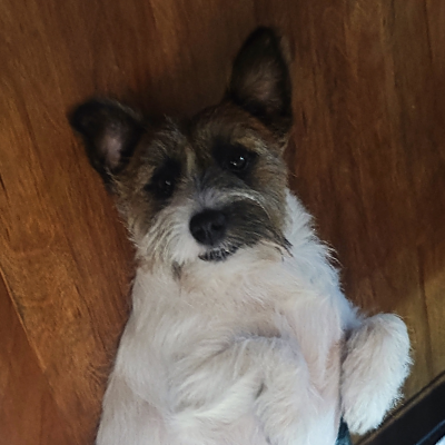 avatar of geekyemoticon