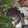 avatar of Deda76