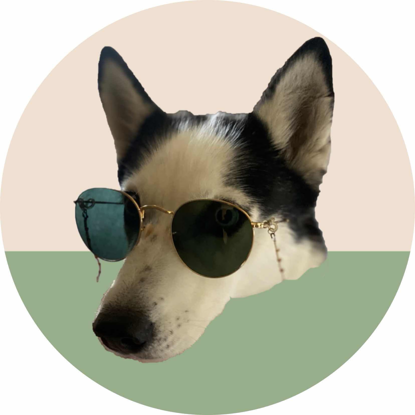 avatar of vwan_dog
