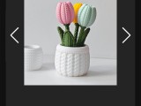 tulips-1