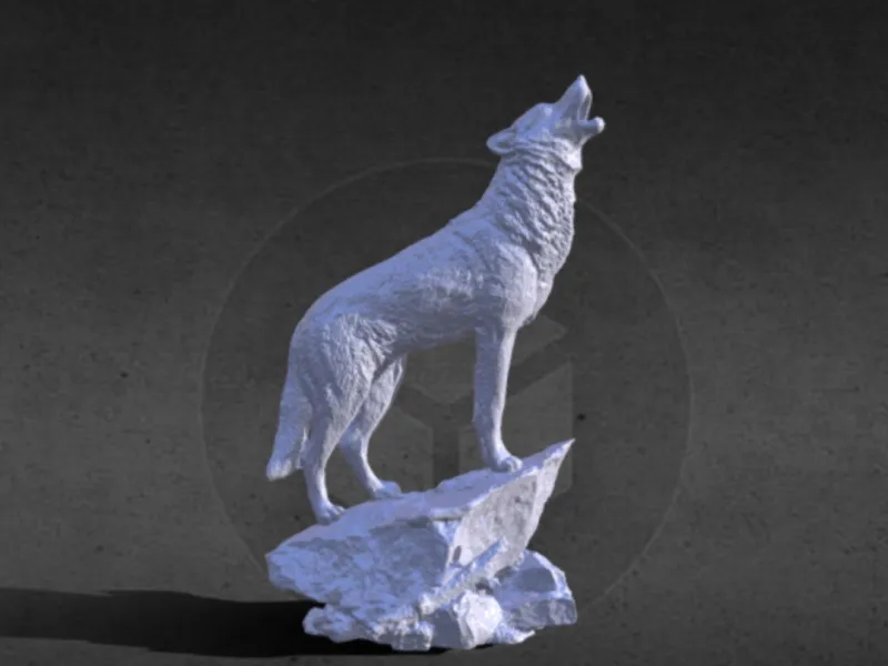 Wolf