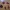 PAGAN - NEOPAGAN - SATANISM - MERCURY SYMBOL KEYCHAINS