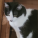 avatar of JimmyGee921