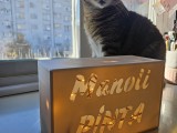 Customizable LED Box-1