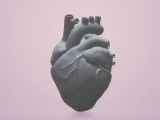 Anatomical Heart-0