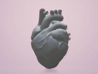 Anatomical Heart
