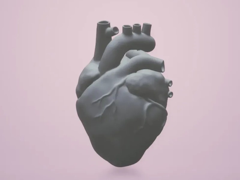 Anatomical Heart
