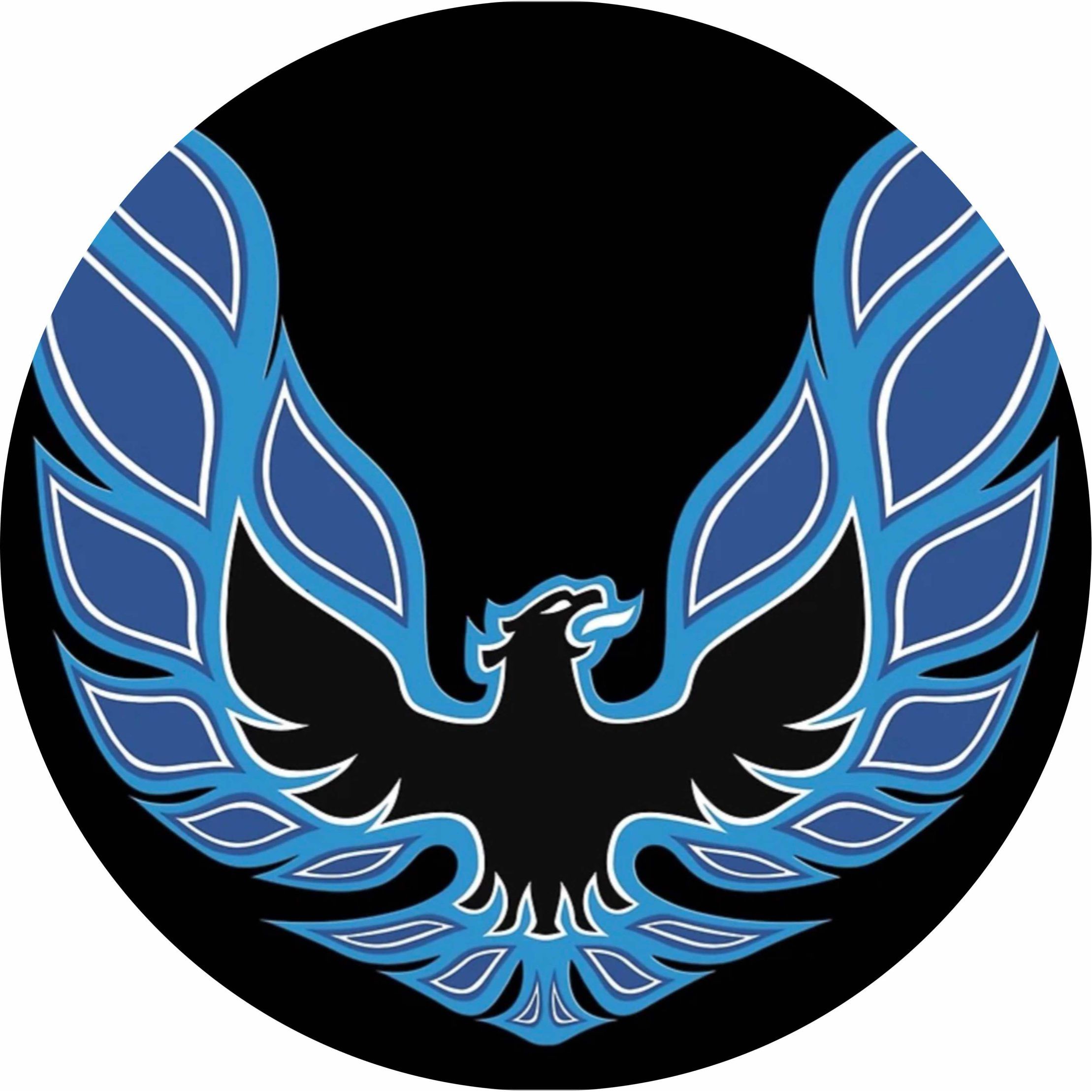 avatar of Krzysztof 