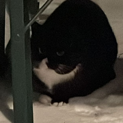 avatar of Biggsherm88