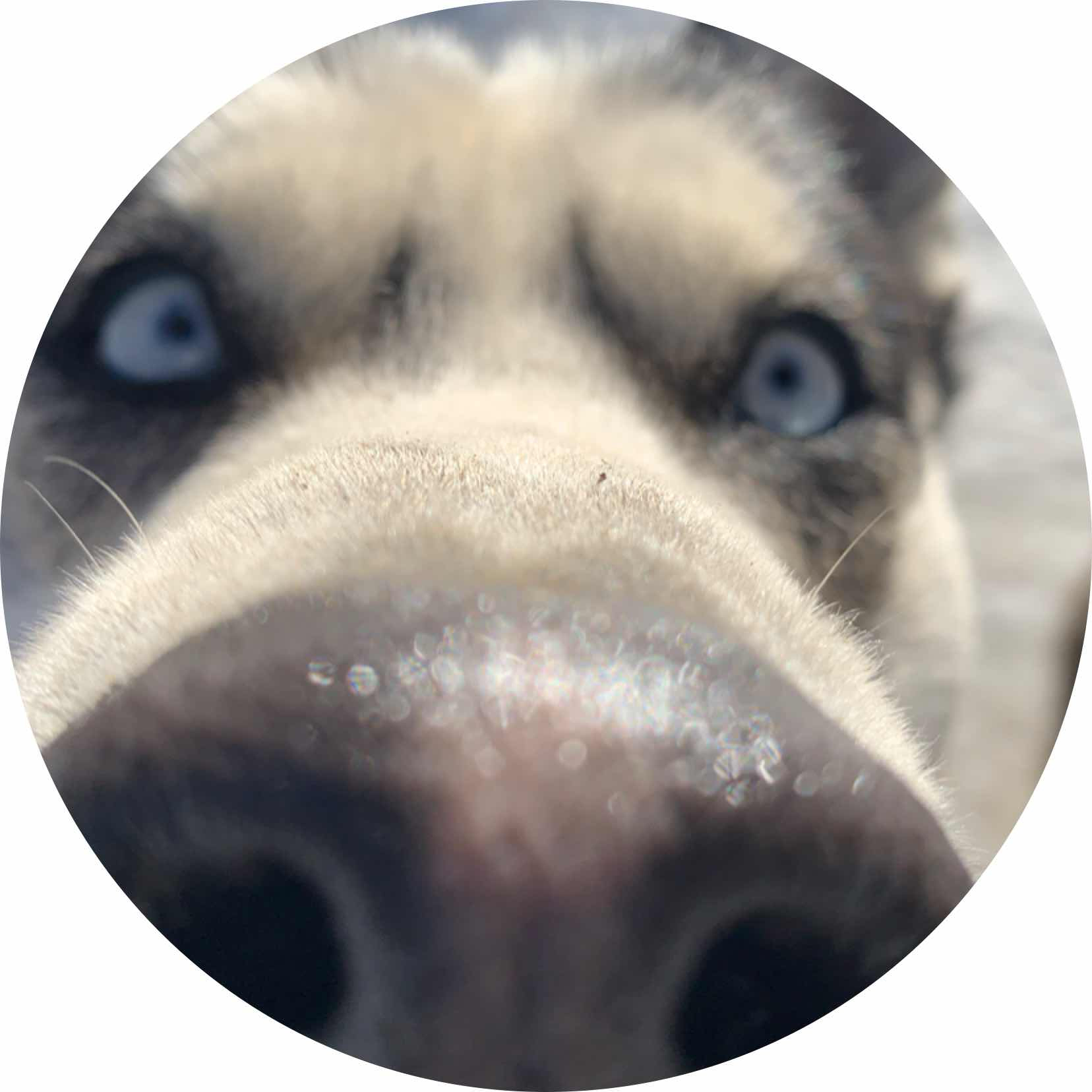 avatar of TheGrandeWeeb