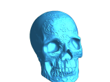 skull-0