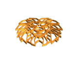 2 D lion picture-0