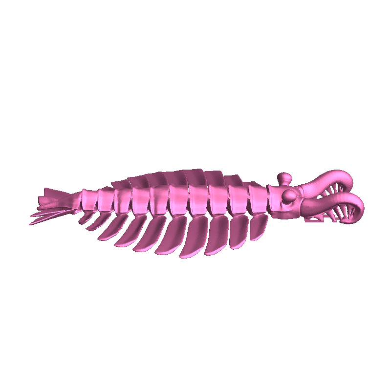 Anomalocaris articolato