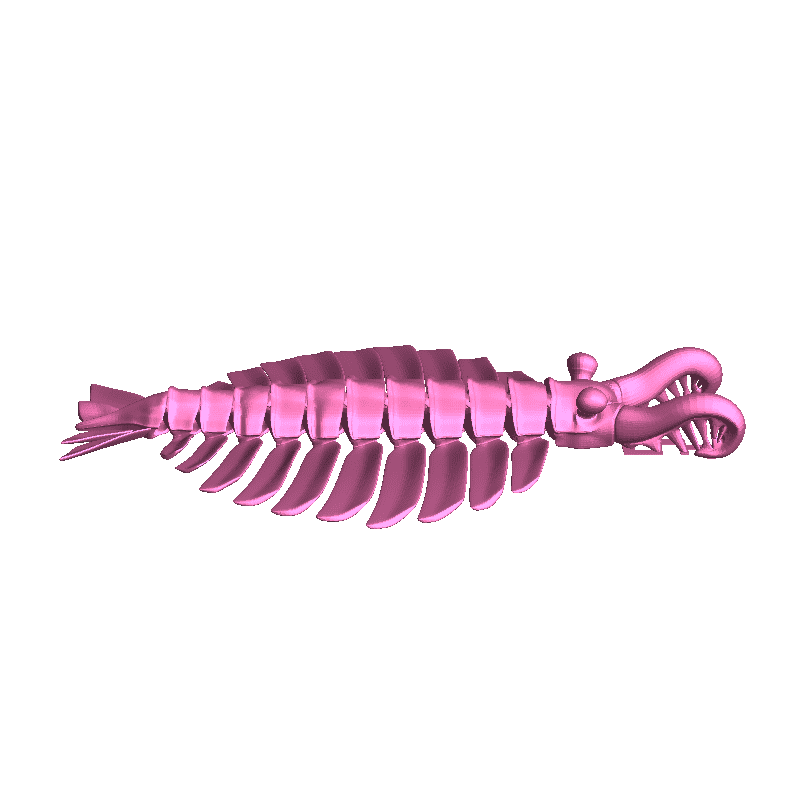 Articulated Anomalocaris