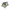Nucleus (plant)