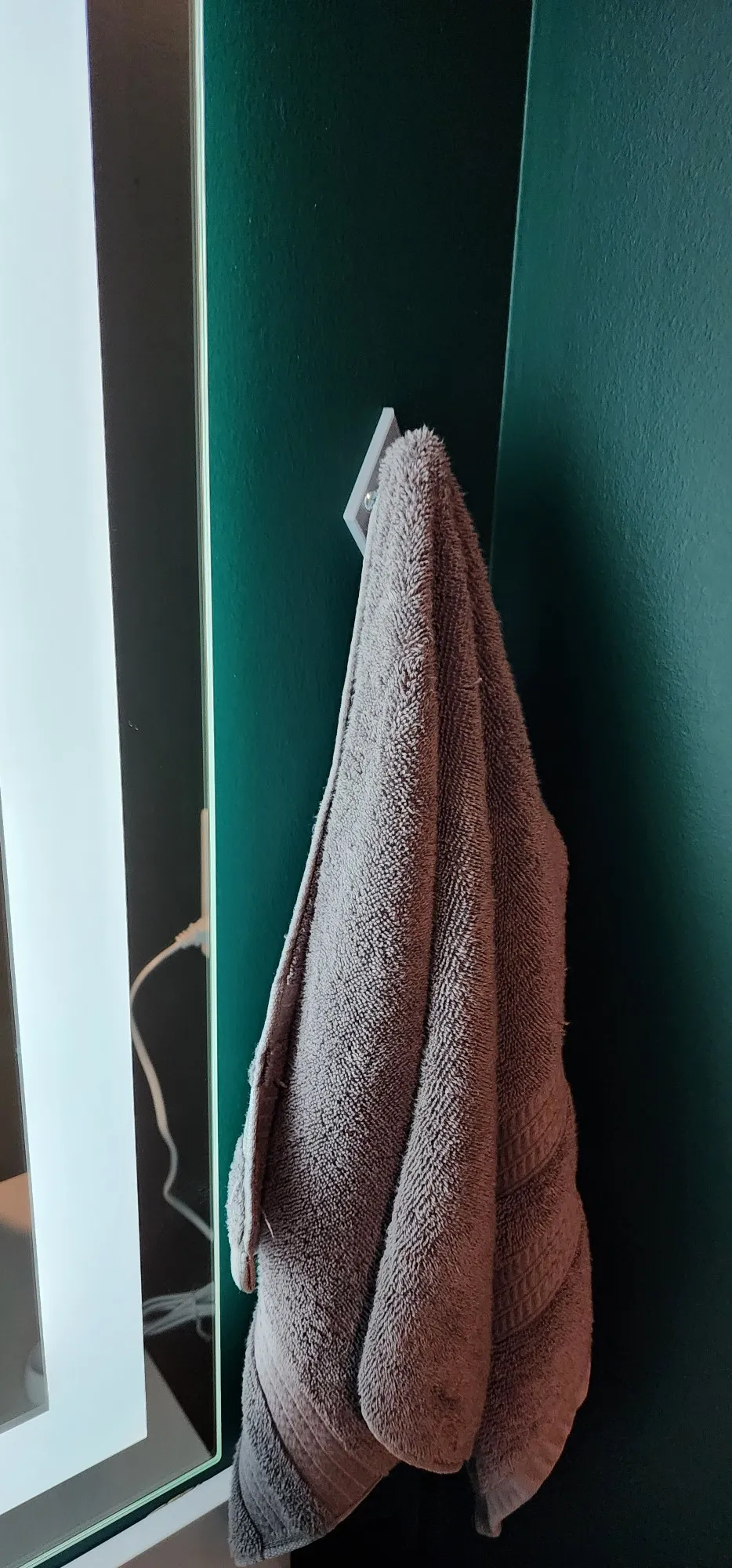 Towel Hook-1