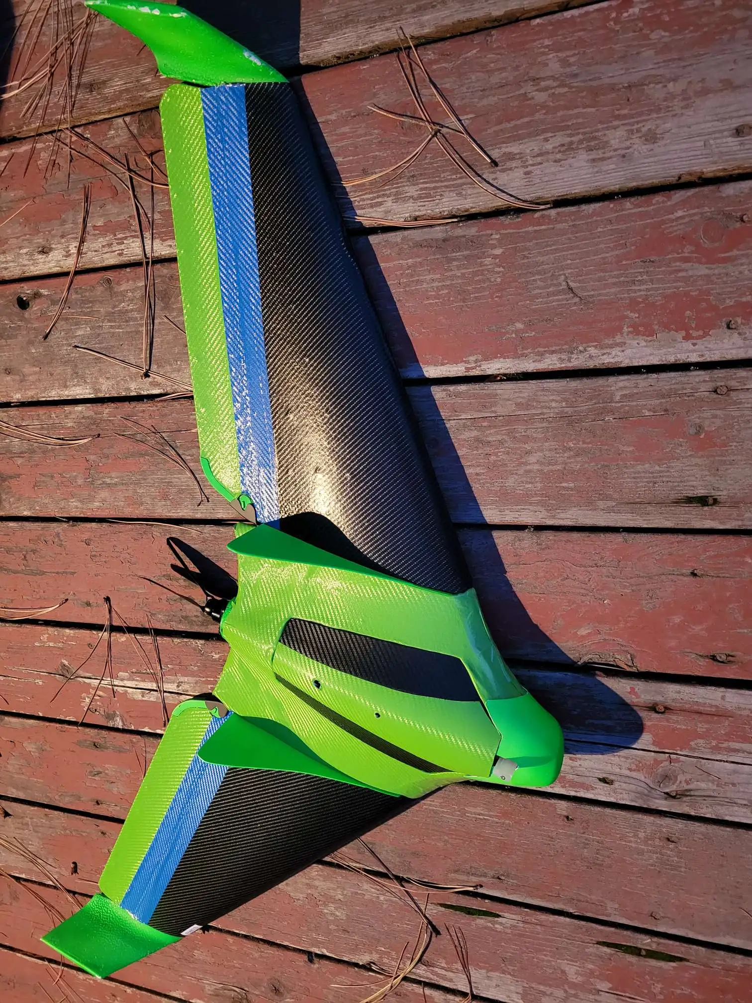 Parrot Disco