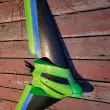 Parrot Disco