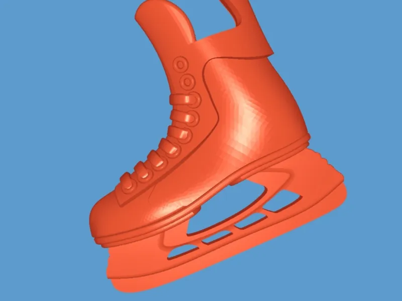 Hockey Skates
