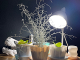 Shattered Perception | Planter & Drip Tray-0