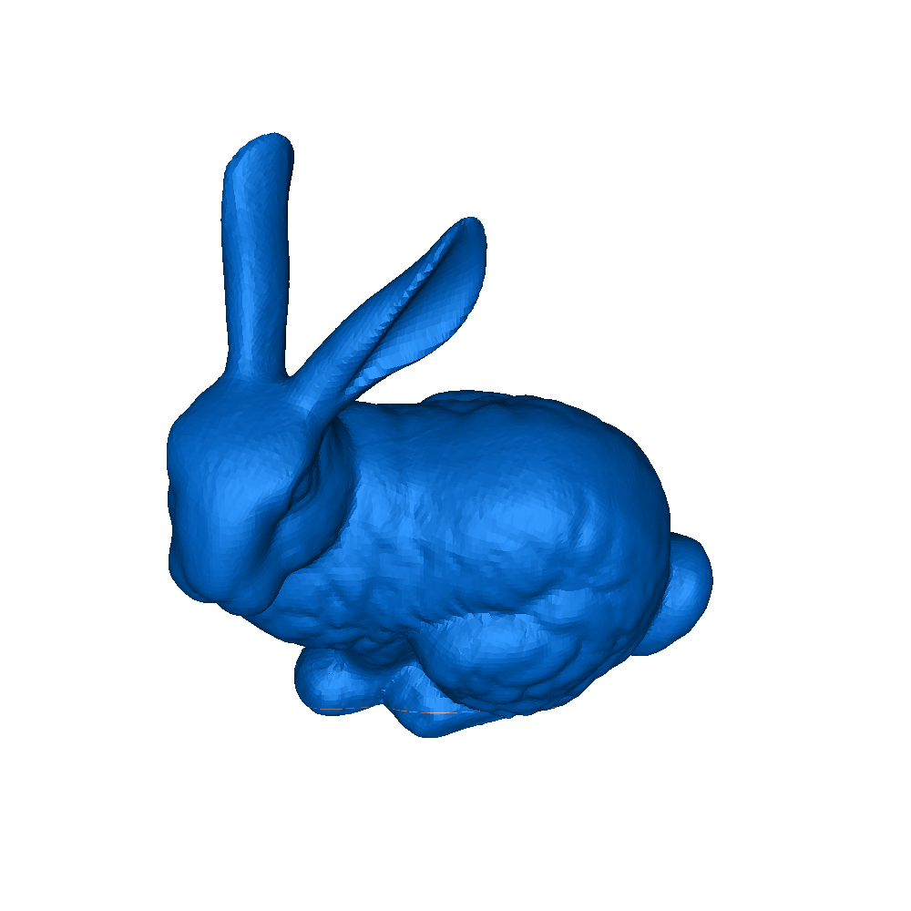 bunny