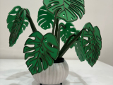 Monstera Coasters-2