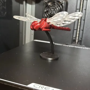 Voronoi Dragonfly

-0