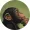 user2375903582