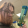 avatar of Ty9876Ty